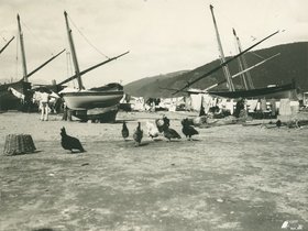 19 Leudo e galline.jpg